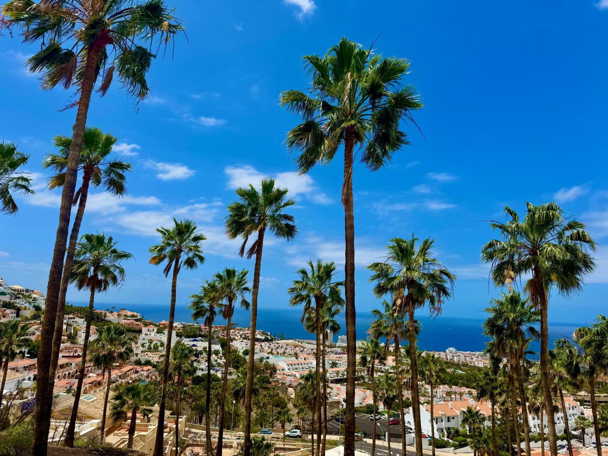 San Eugenio Charming Renovated Apartment Tenerife Costa Adeje  Zewnętrze zdjęcie
