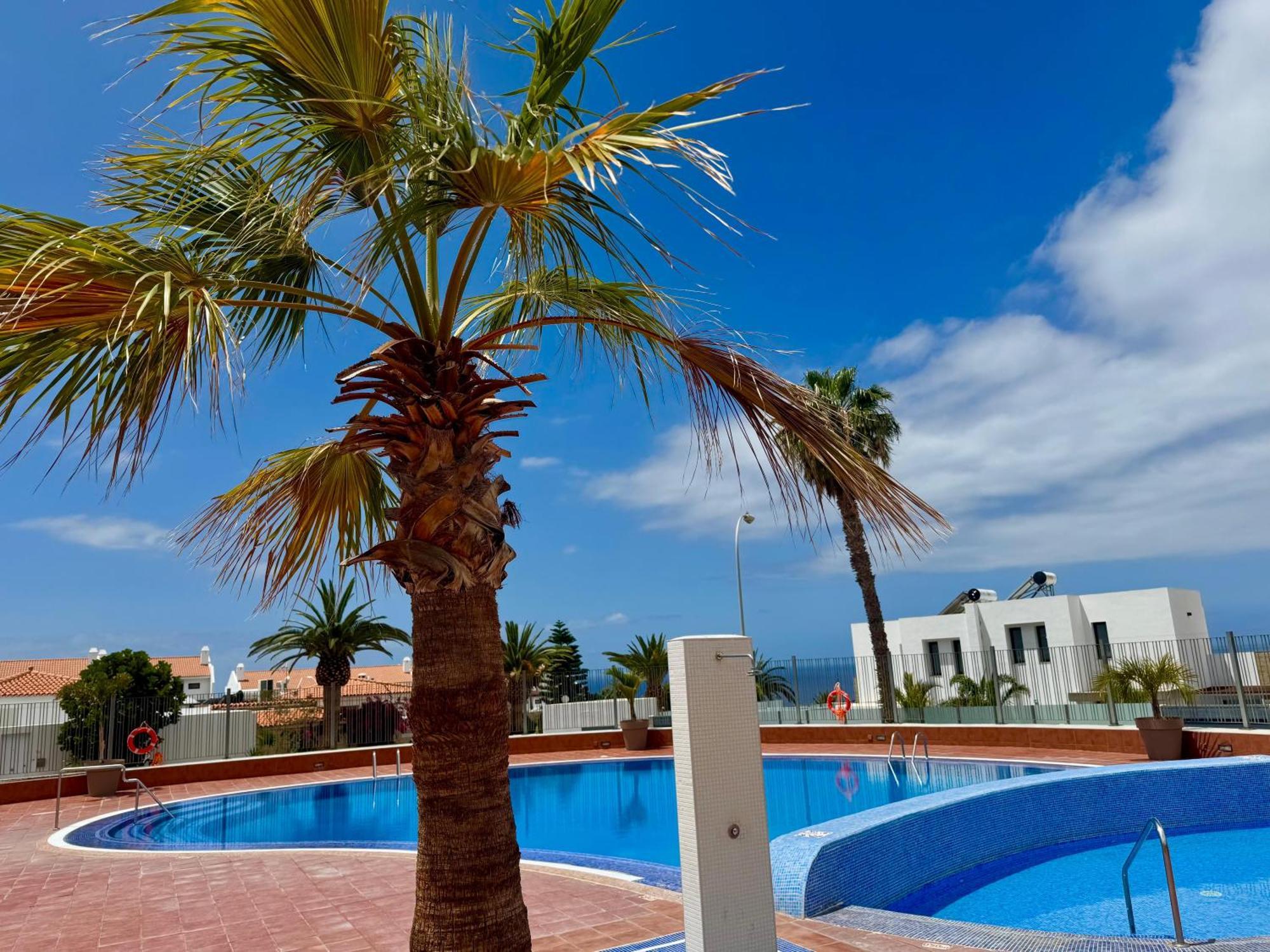 San Eugenio Charming Renovated Apartment Tenerife Costa Adeje  Zewnętrze zdjęcie