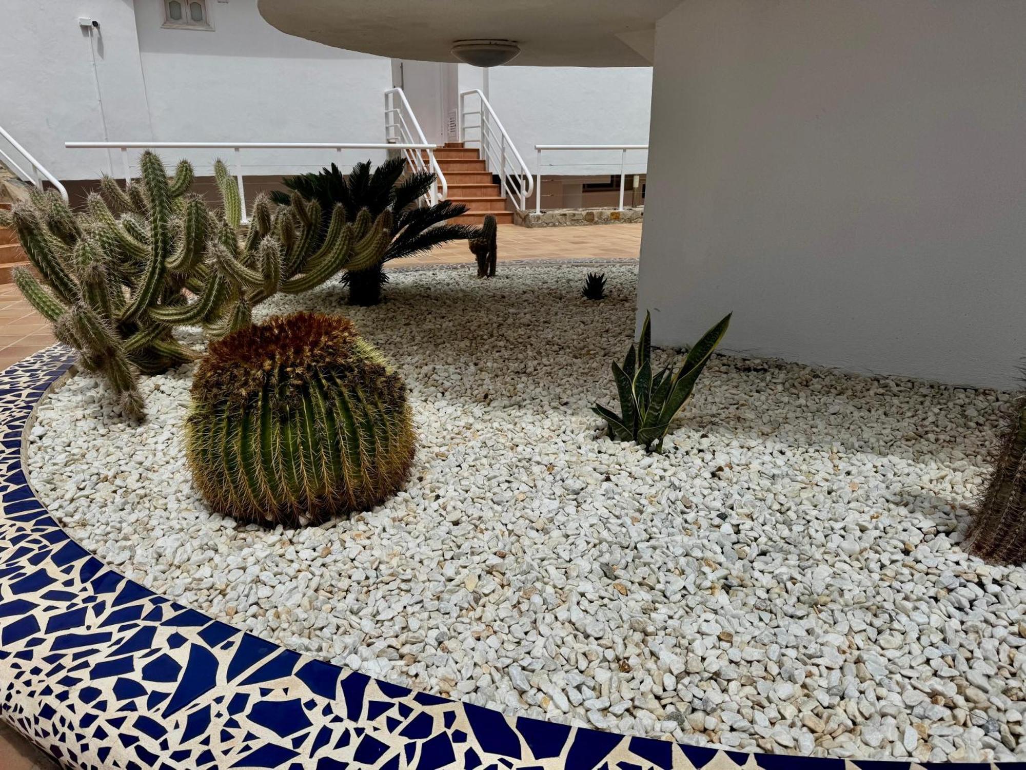 San Eugenio Charming Renovated Apartment Tenerife Costa Adeje  Zewnętrze zdjęcie